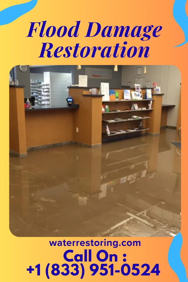 Flood Damage Restoration in Saint Marks, KS