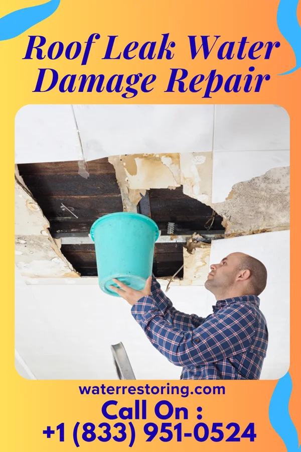 Roof Leak Water Damage Repair in Saint Marks, KS