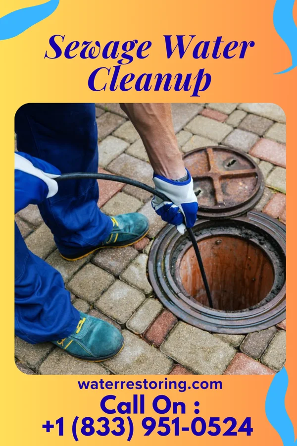 Sewage Water Cleanup in Saint Marks, KS