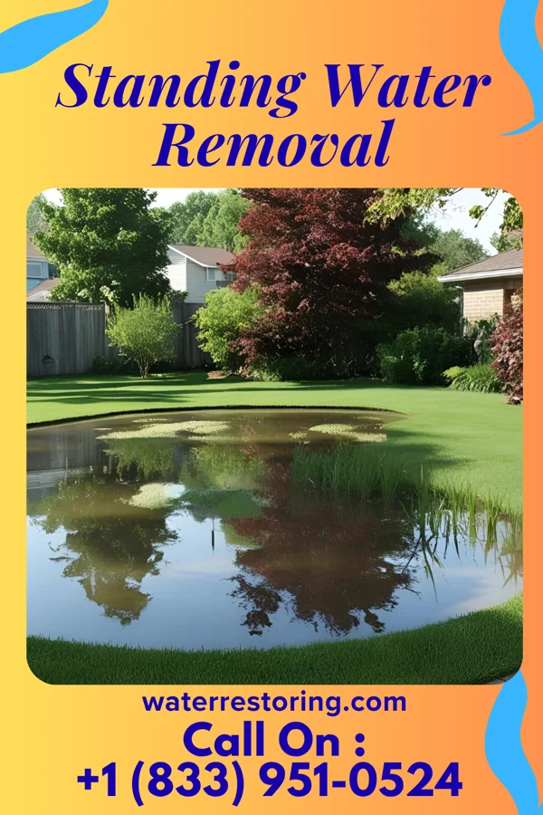 Standing Water Removal in Saint Marks, KS